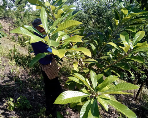 Medioambiente